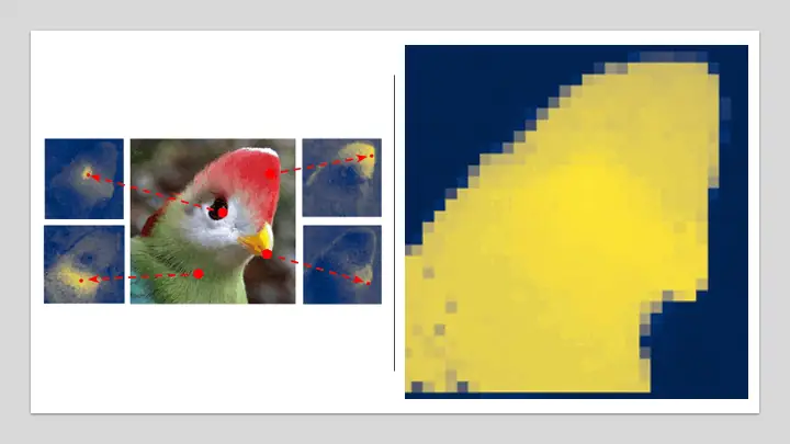 Research publication preview